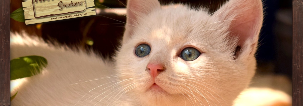 natural greatness katten