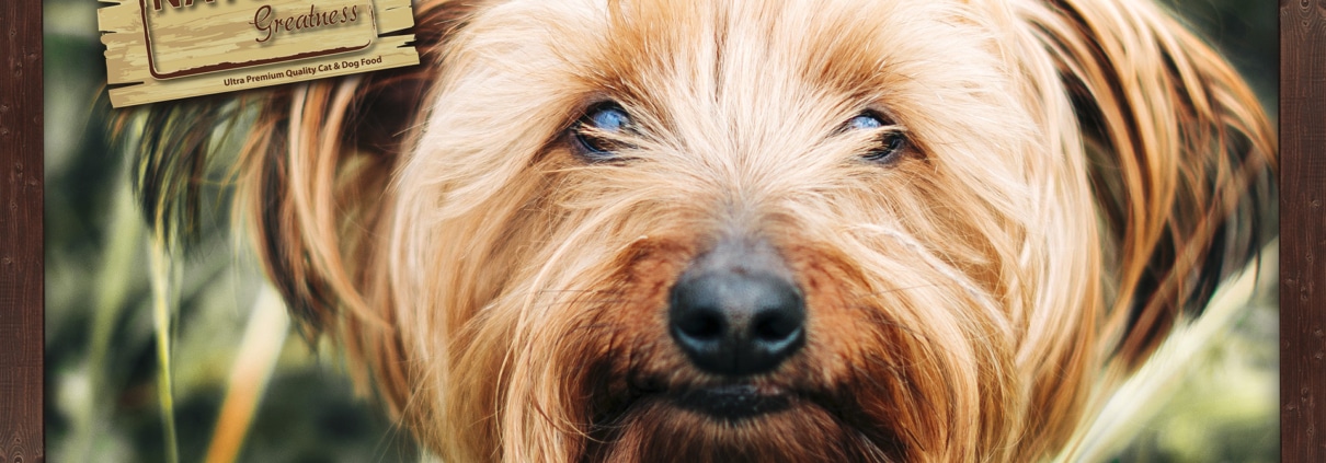 natural greatness honden