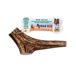 Antos Gourmore hertengewei